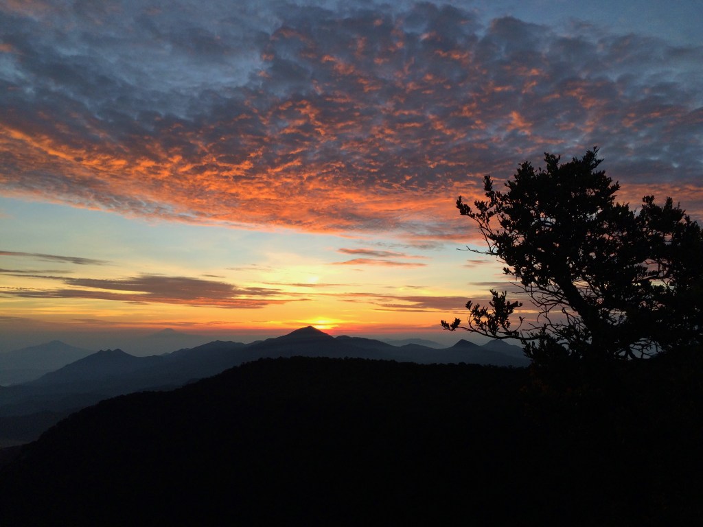 Memburu Sunrise di Upas&nbsp;Hill