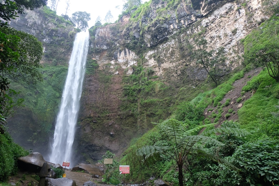 Mencari Dewi Anjarwati di Coban&nbsp;Rondo