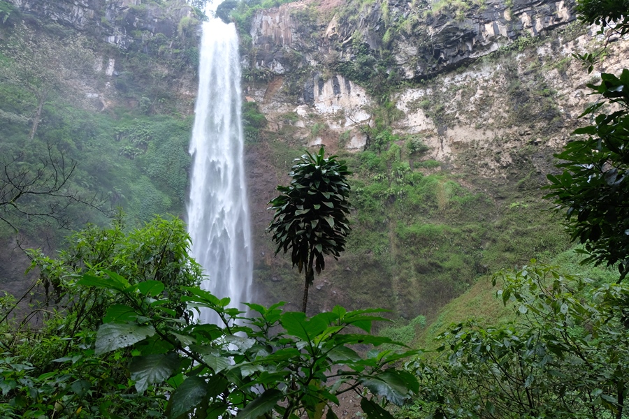Coban Rondo 4